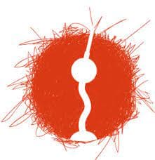 Berlin Music Video Awards logo