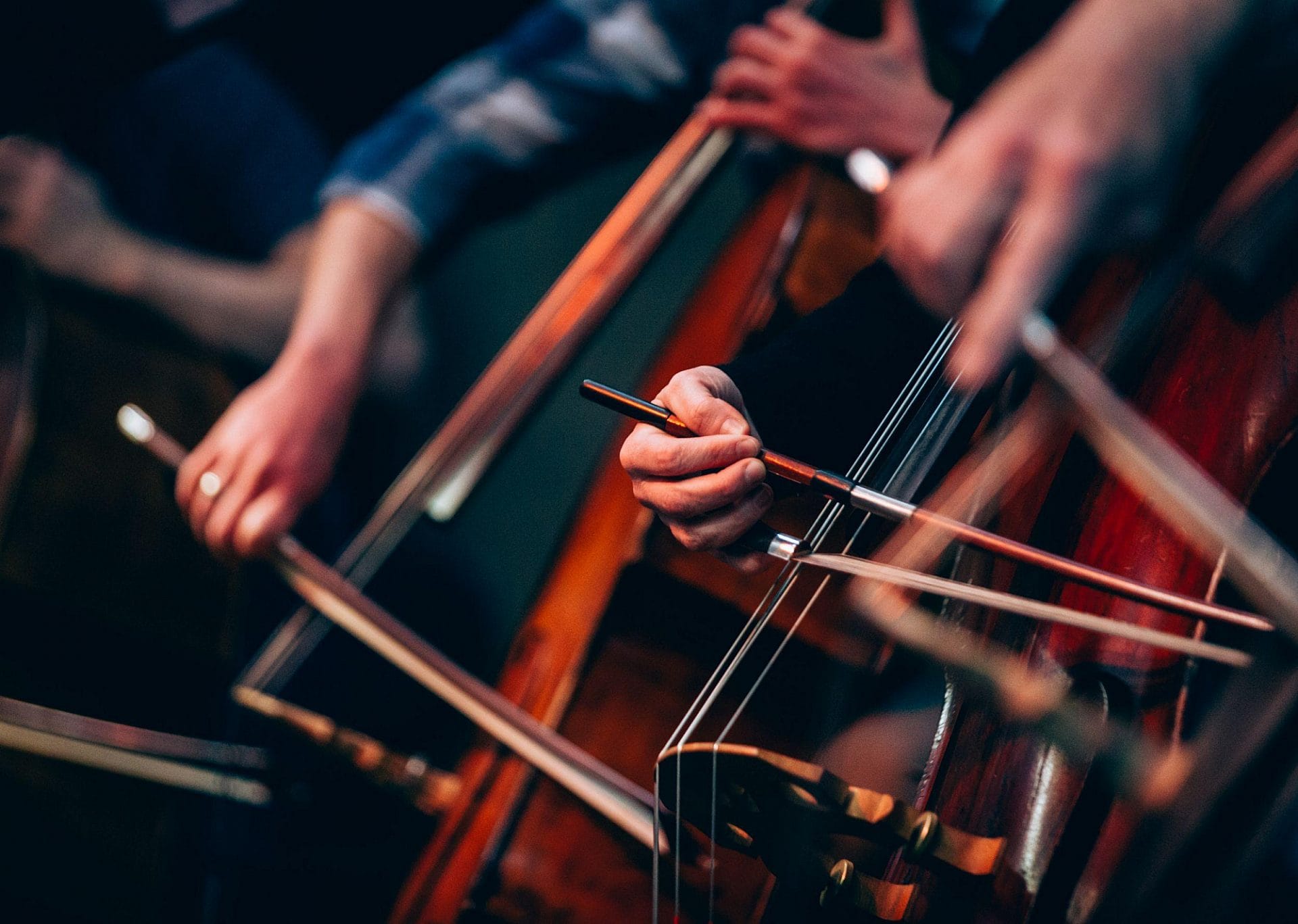 Orchestra Victoria team