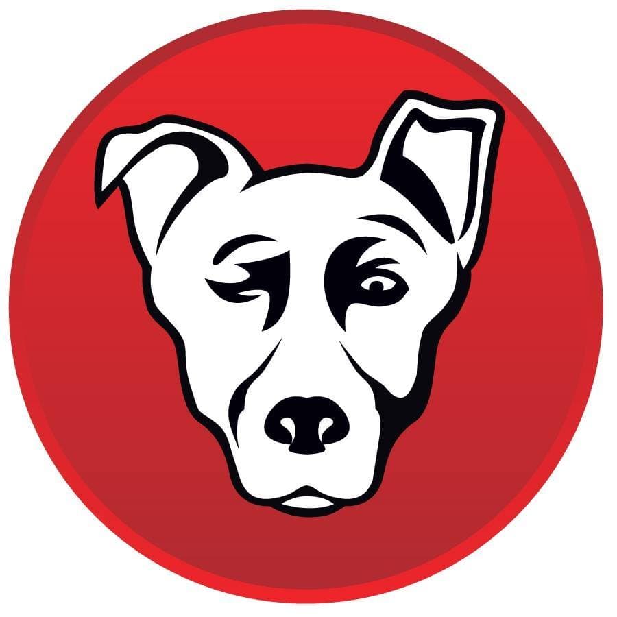 Alpha Media USA logo